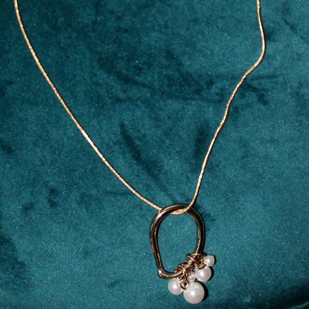 Necklace NWT